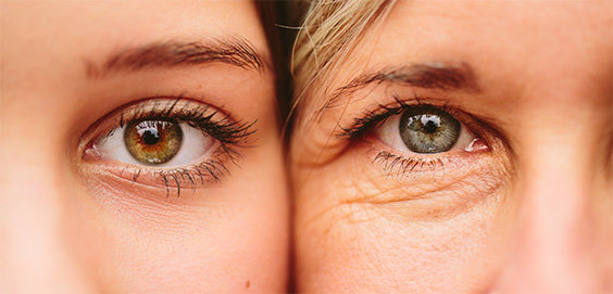 Ein jugendliches und ein älteres Auge im Vergleich